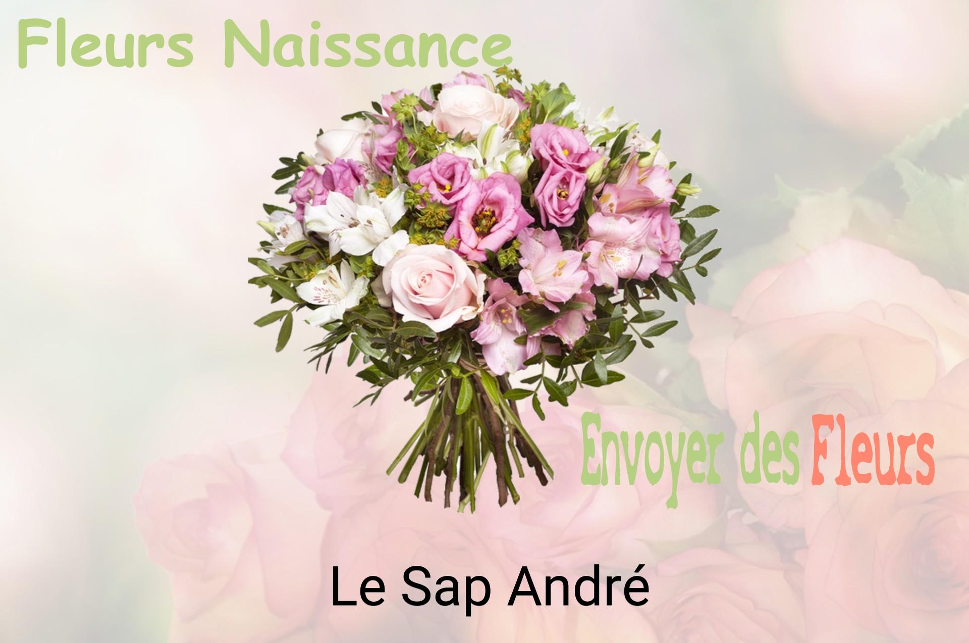 Bouquet de fleurs de naissance livré à Le Sap-André